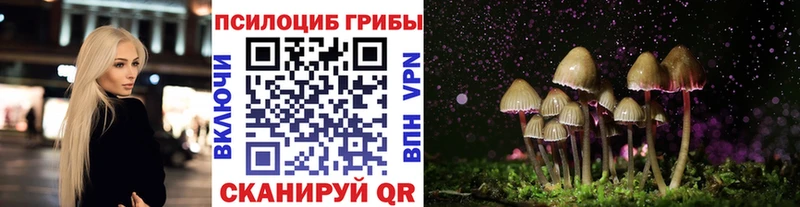 Псилоцибиновые грибы MAGIC MUSHROOMS  маркетплейс состав  Сарапул 